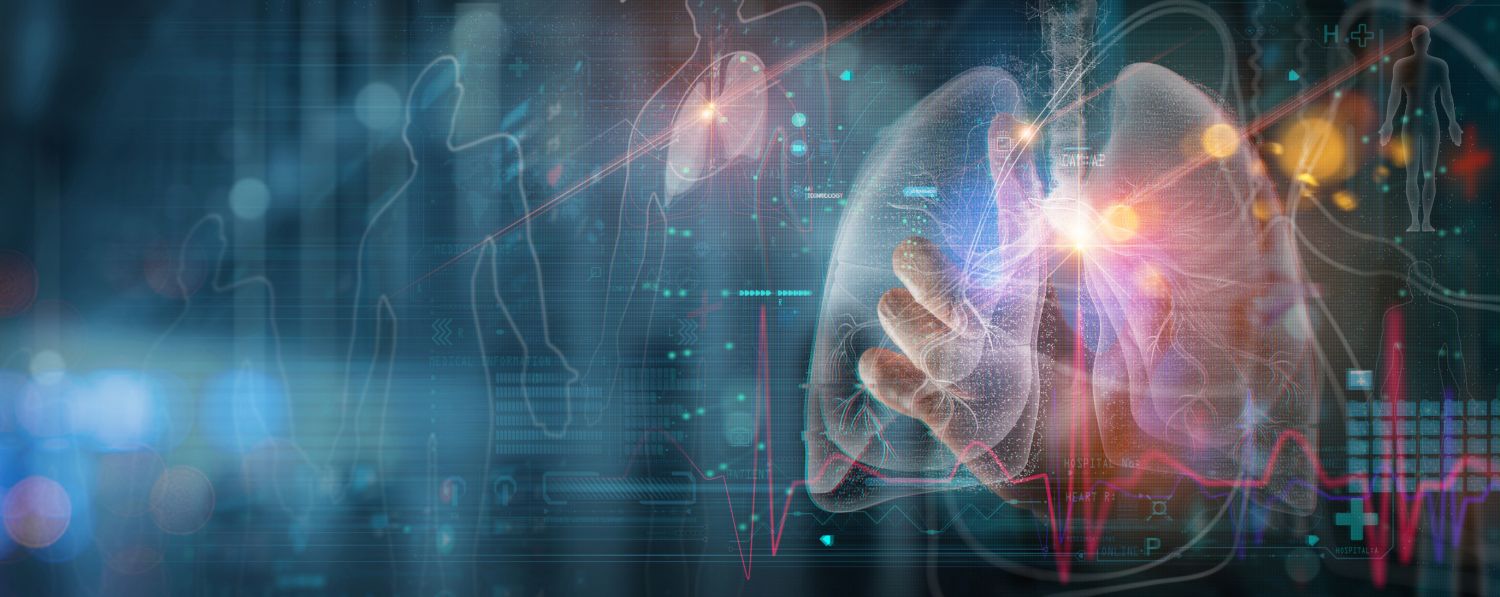 Virtuelle Bilder von Lunge und anderen Körperteilen werden von einer Person bewertet